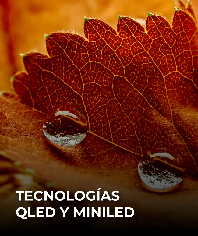 Tecnologías QLED y MiniLED